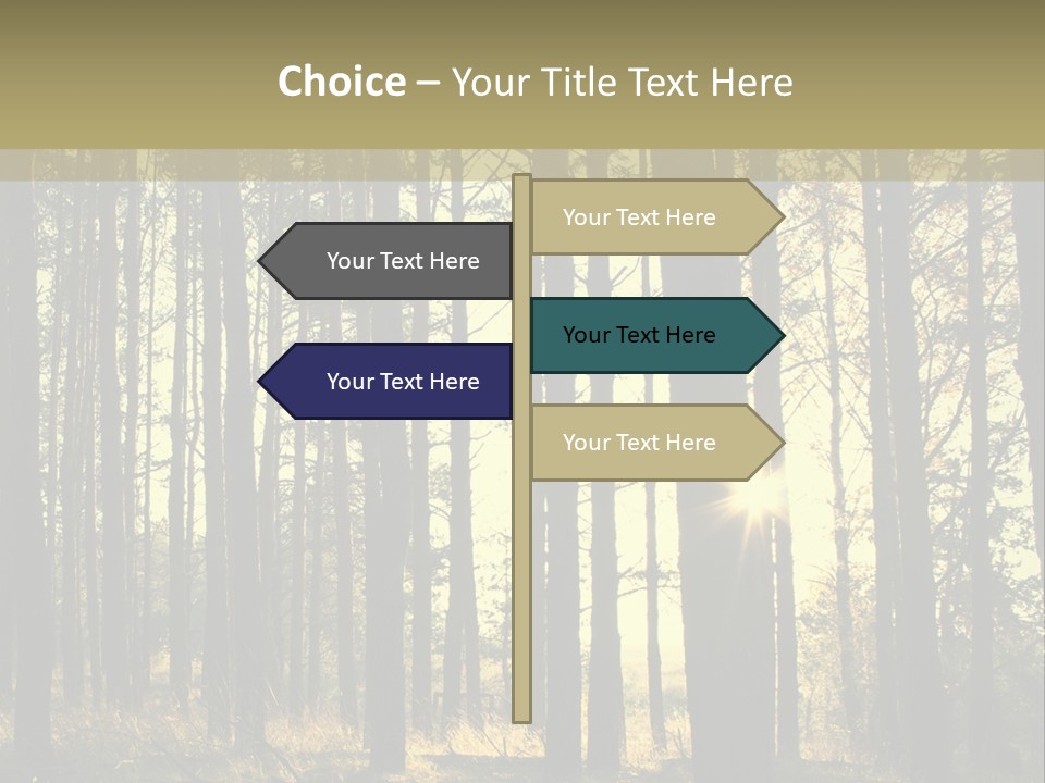 Shine Morning Nature PowerPoint Template