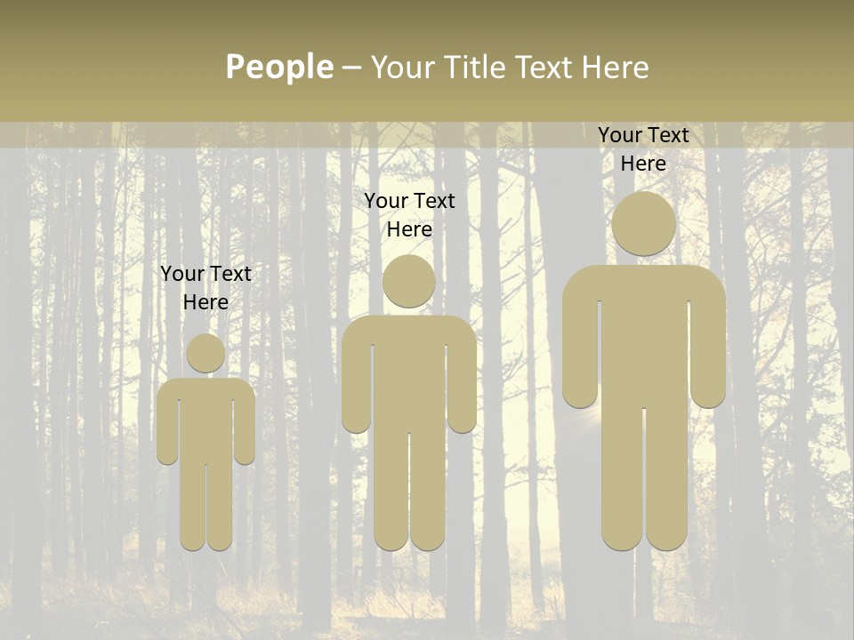 Shine Morning Nature PowerPoint Template