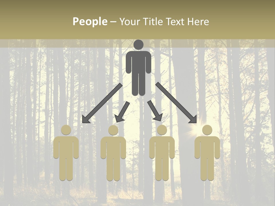 Shine Morning Nature PowerPoint Template