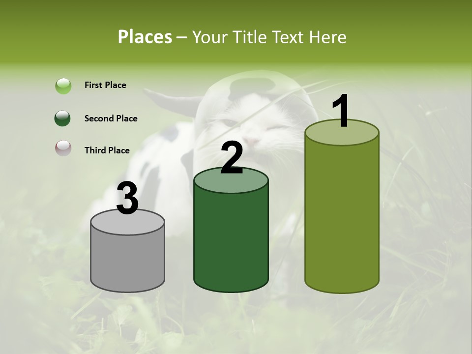 Horns Sheep White PowerPoint Template