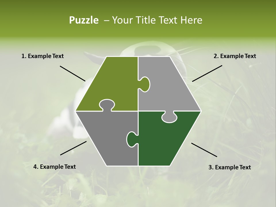 Horns Sheep White PowerPoint Template