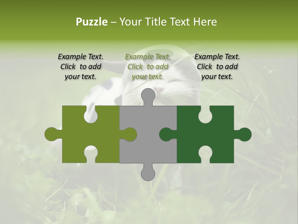 Horns Sheep White PowerPoint Template