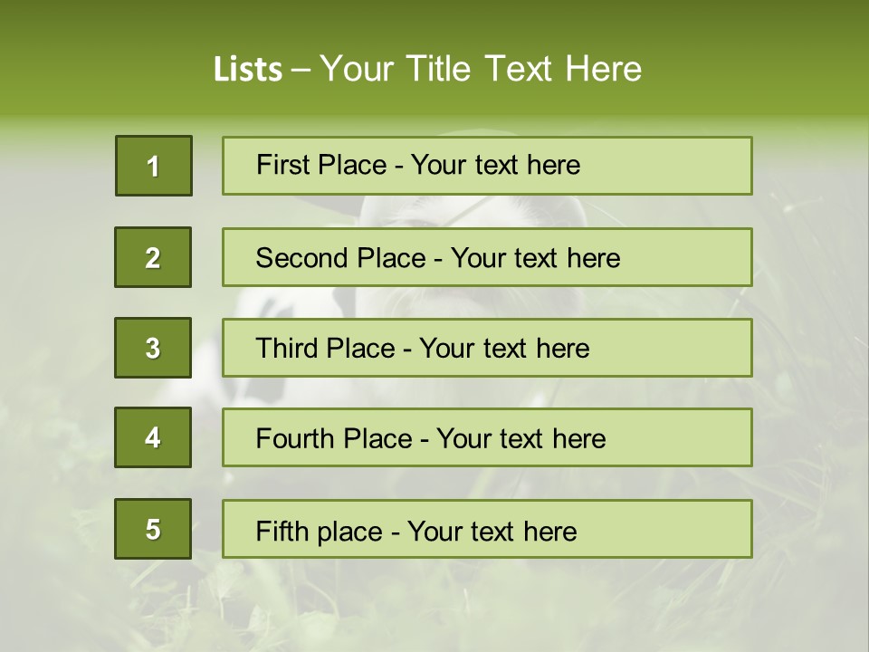 Horns Sheep White PowerPoint Template