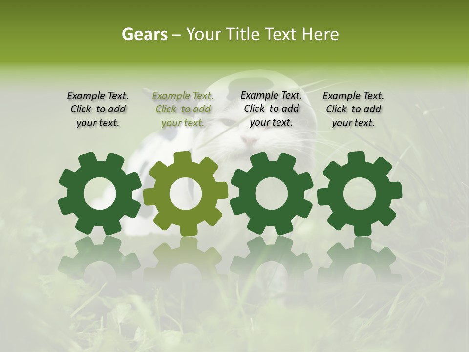 Horns Sheep White PowerPoint Template