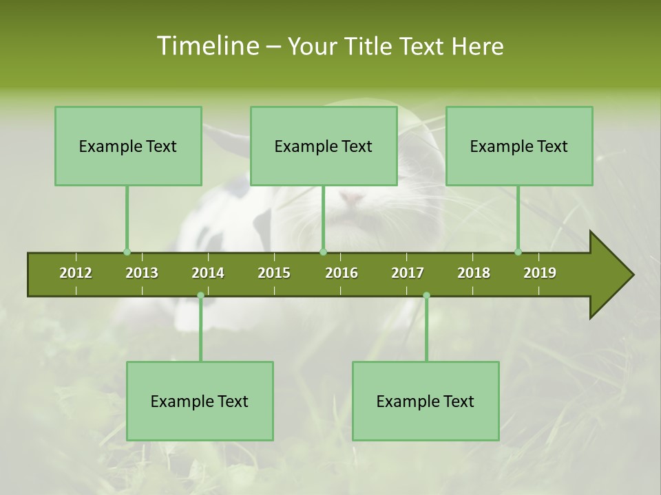 Horns Sheep White PowerPoint Template