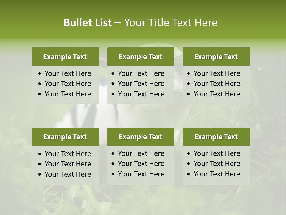 Horns Sheep White PowerPoint Template