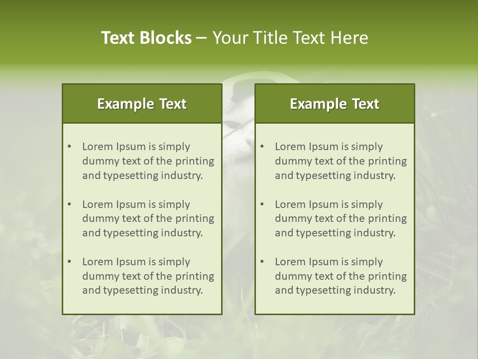 Horns Sheep White PowerPoint Template