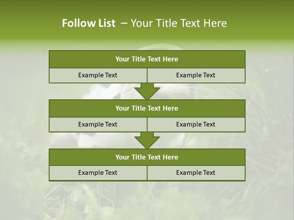Horns Sheep White PowerPoint Template