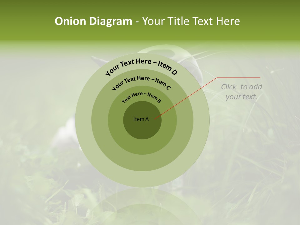 Horns Sheep White PowerPoint Template