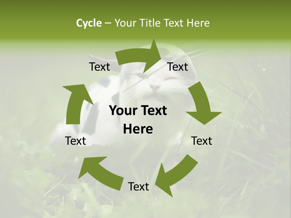 Horns Sheep White PowerPoint Template