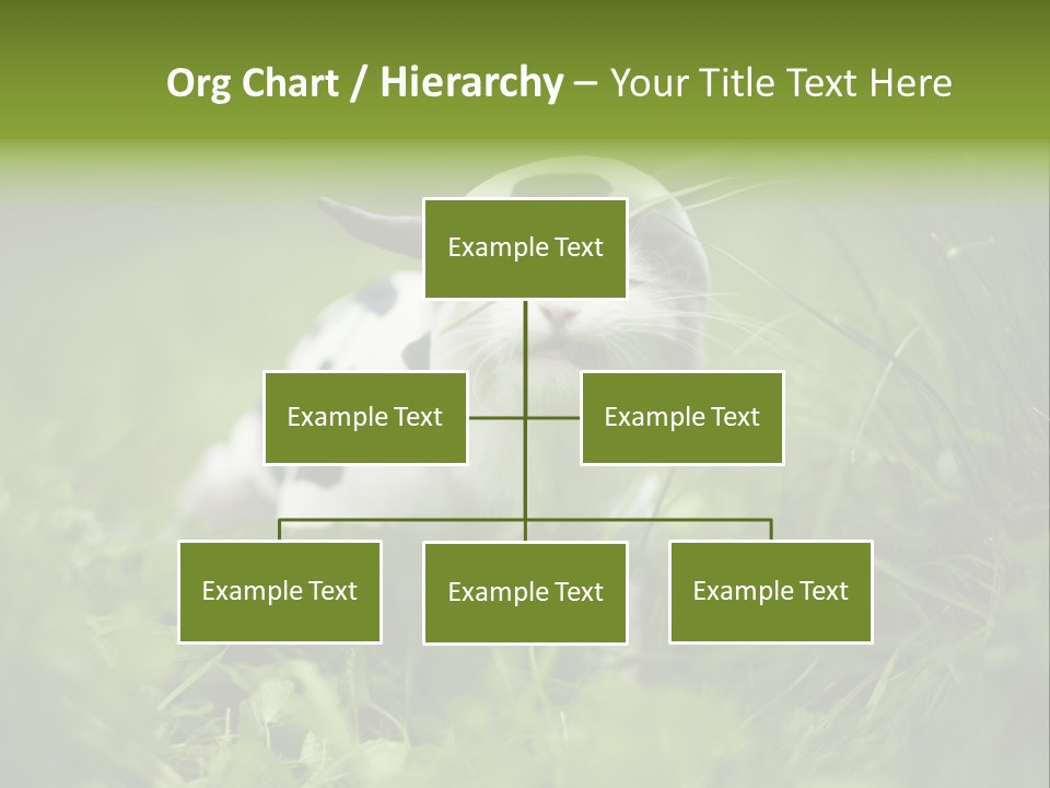 Horns Sheep White PowerPoint Template