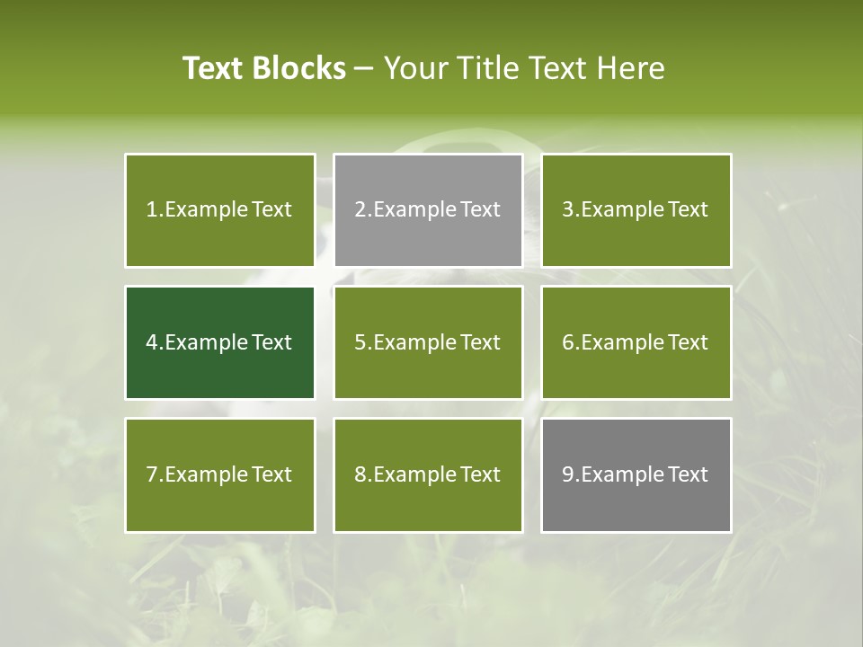 Horns Sheep White PowerPoint Template