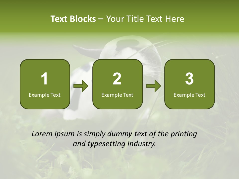 Horns Sheep White PowerPoint Template