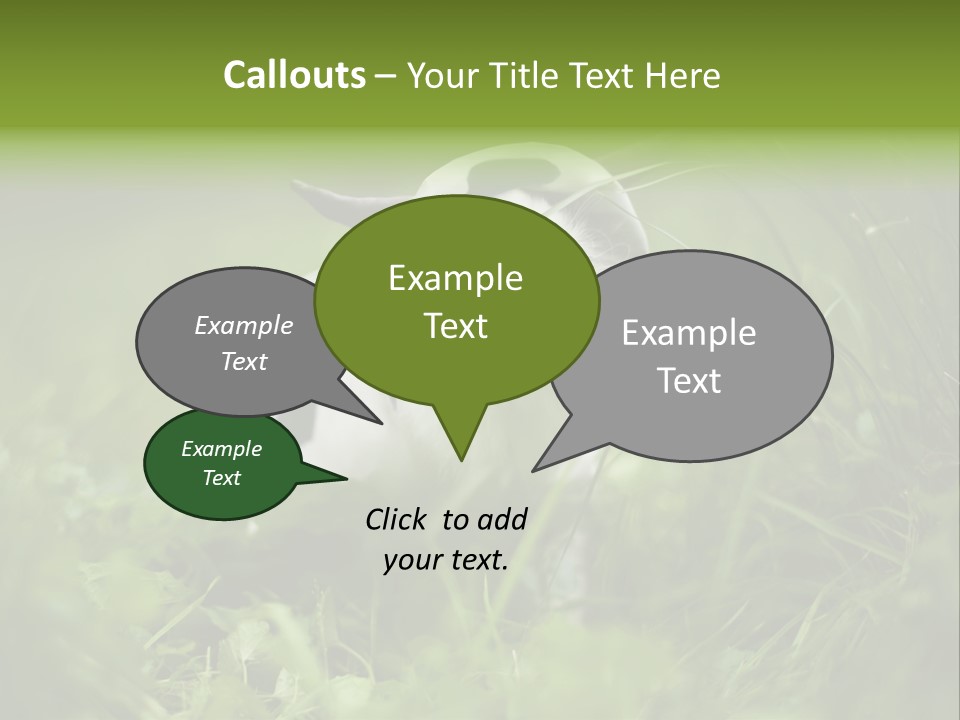 Horns Sheep White PowerPoint Template