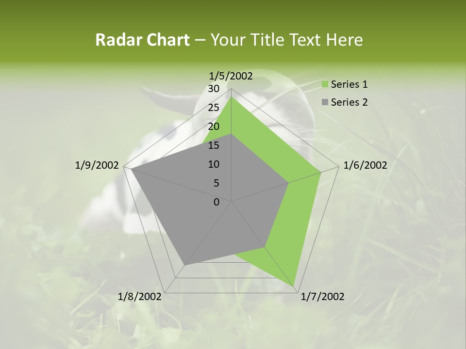 Horns Sheep White PowerPoint Template