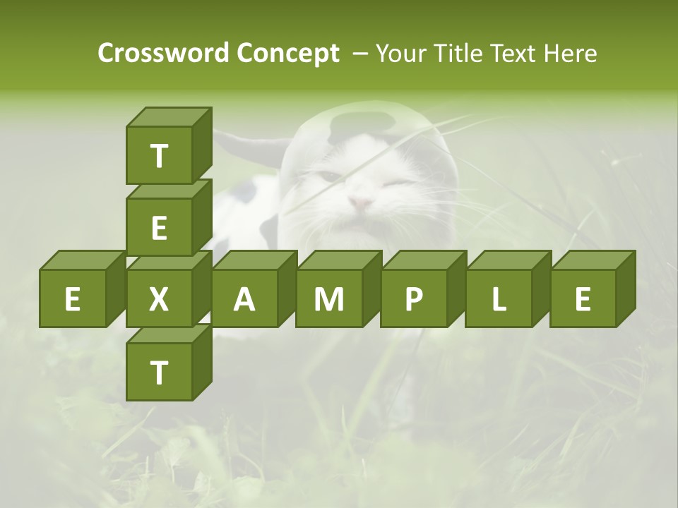 Horns Sheep White PowerPoint Template