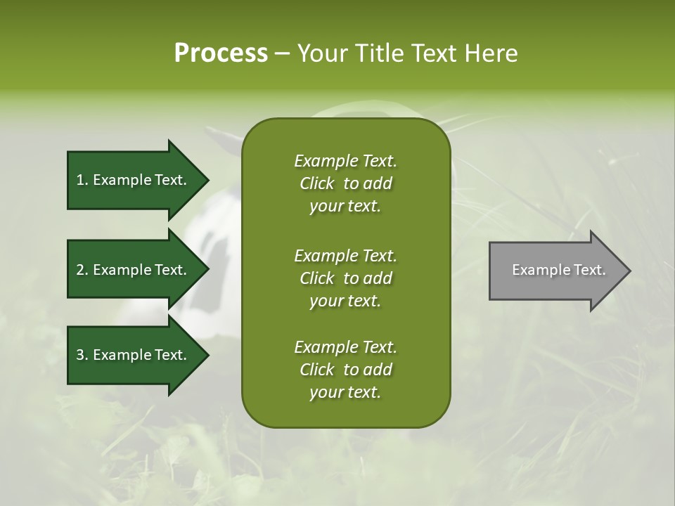 Horns Sheep White PowerPoint Template
