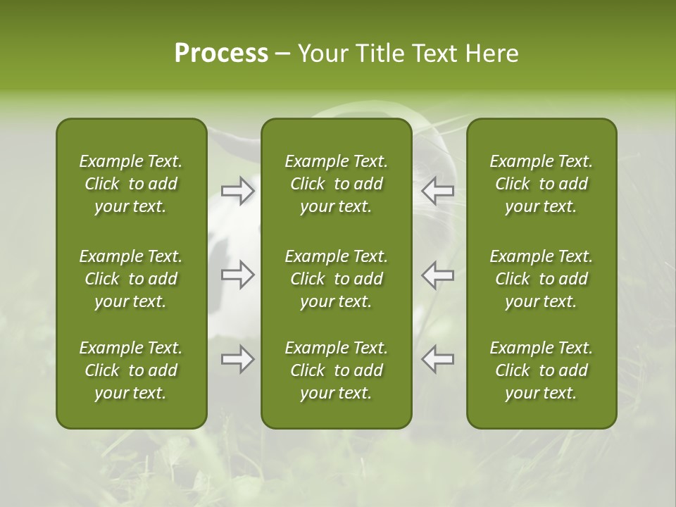 Horns Sheep White PowerPoint Template