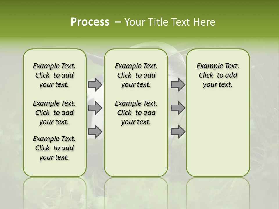 Horns Sheep White PowerPoint Template