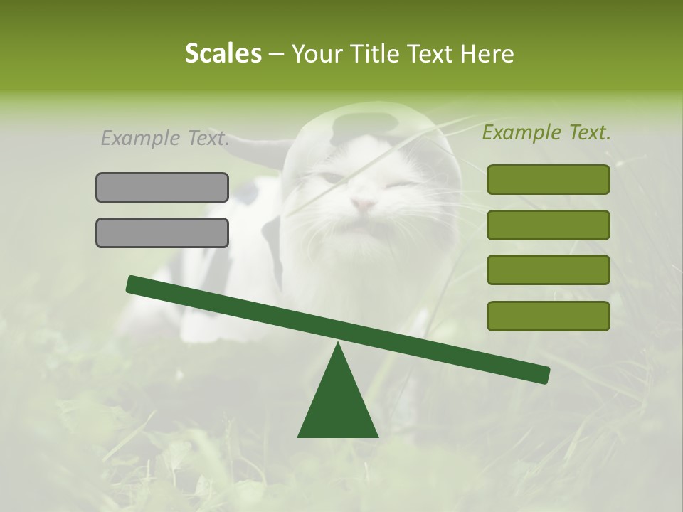 Horns Sheep White PowerPoint Template