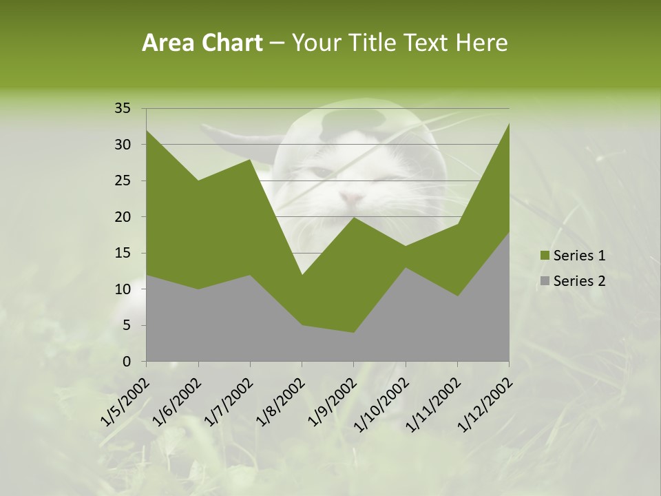 Horns Sheep White PowerPoint Template