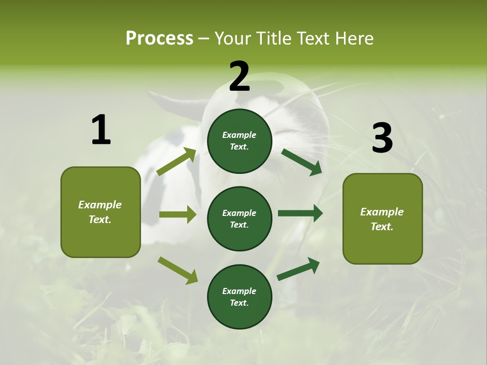 Horns Sheep White PowerPoint Template