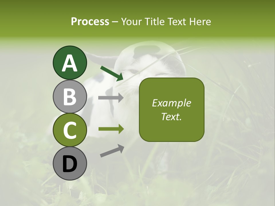 Horns Sheep White PowerPoint Template