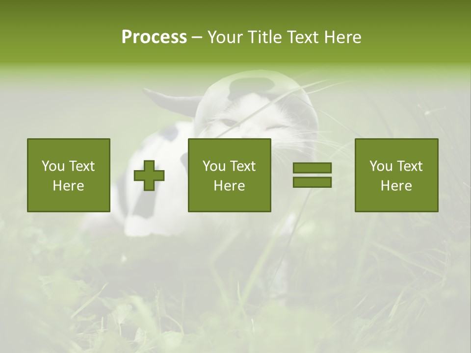 Horns Sheep White PowerPoint Template