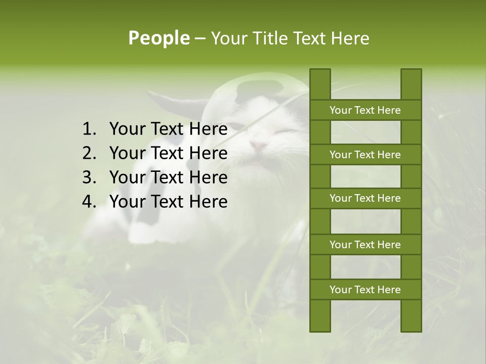 Horns Sheep White PowerPoint Template