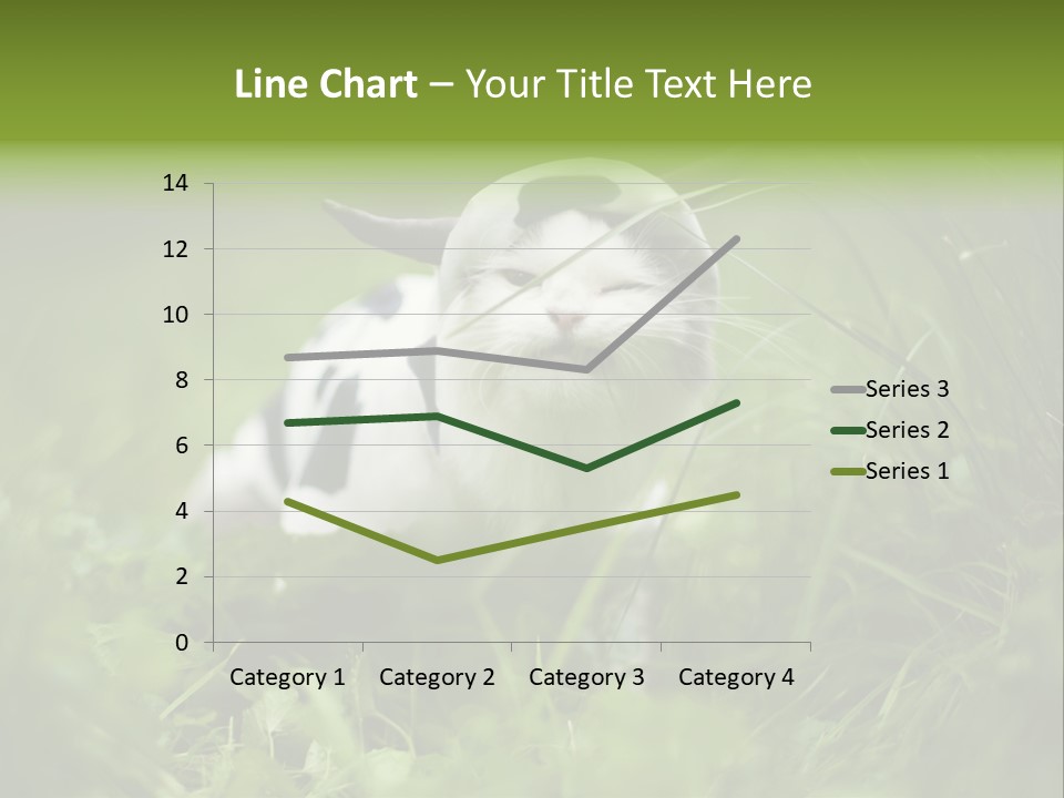 Horns Sheep White PowerPoint Template