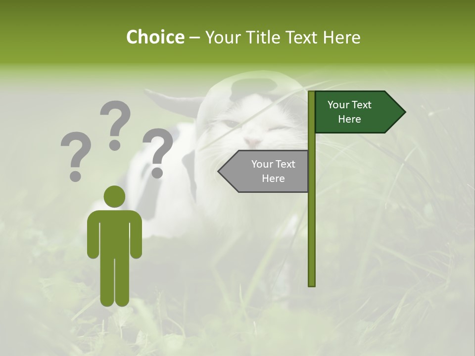 Horns Sheep White PowerPoint Template