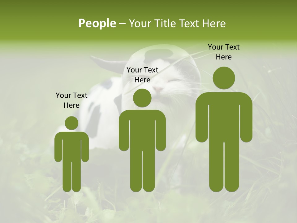 Horns Sheep White PowerPoint Template