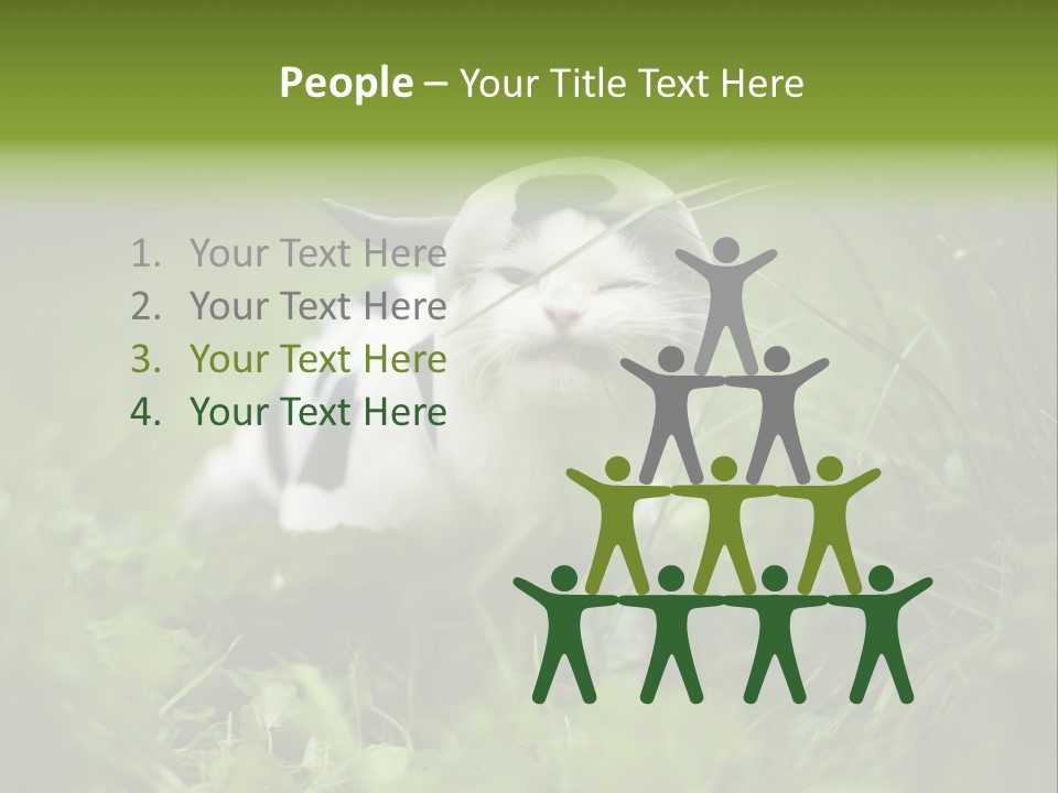 Horns Sheep White PowerPoint Template