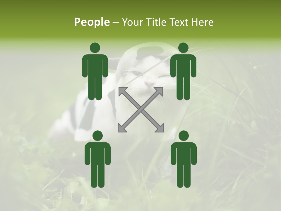 Horns Sheep White PowerPoint Template