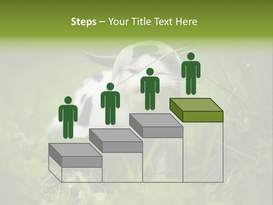 Horns Sheep White PowerPoint Template