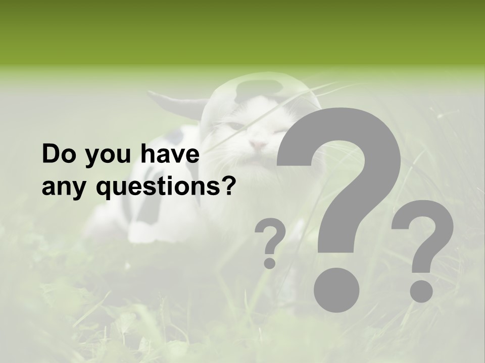 Horns Sheep White PowerPoint Template