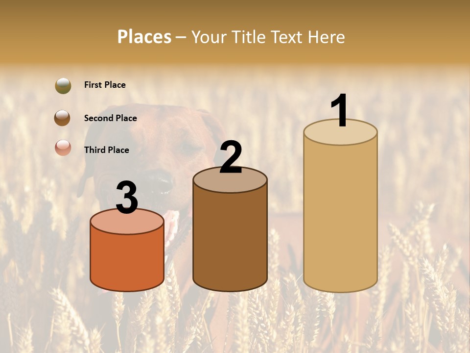 Portrait Dog Agricultural PowerPoint Template