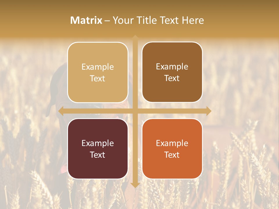 Portrait Dog Agricultural PowerPoint Template