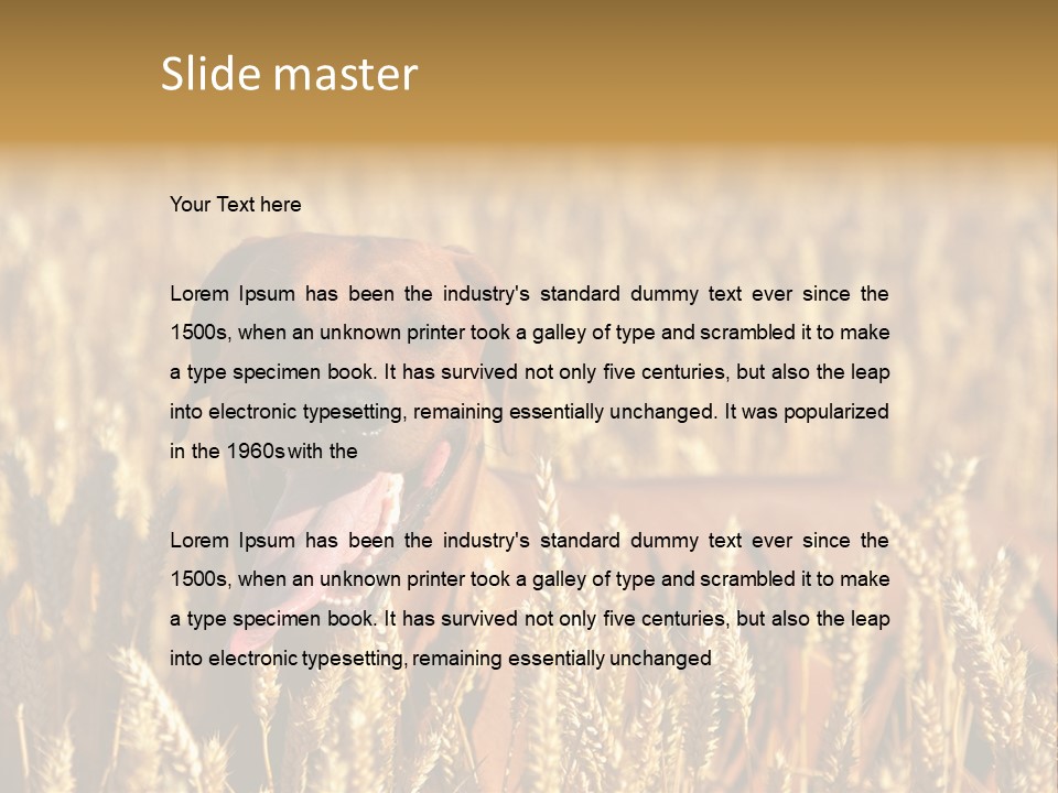 Portrait Dog Agricultural PowerPoint Template