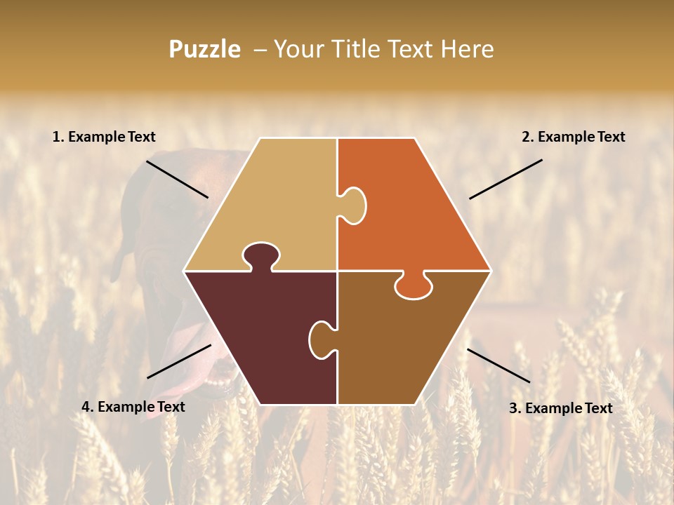 Portrait Dog Agricultural PowerPoint Template