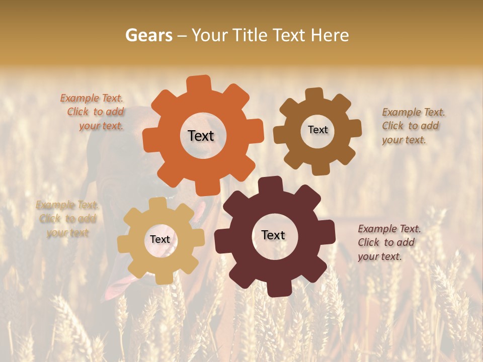 Portrait Dog Agricultural PowerPoint Template