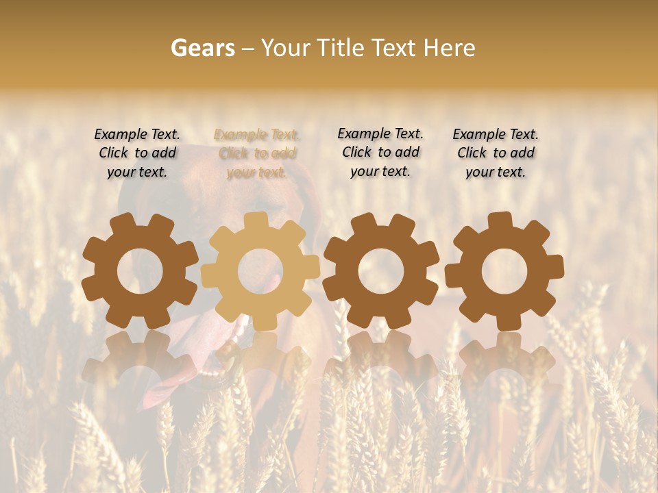 Portrait Dog Agricultural PowerPoint Template