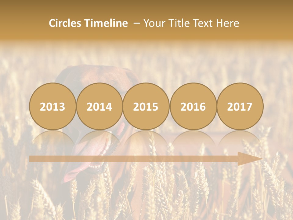 Portrait Dog Agricultural PowerPoint Template