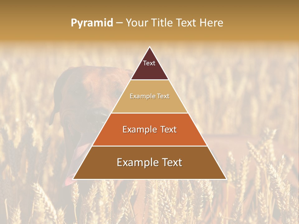 Portrait Dog Agricultural PowerPoint Template