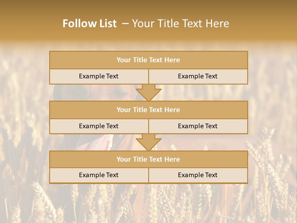 Portrait Dog Agricultural PowerPoint Template