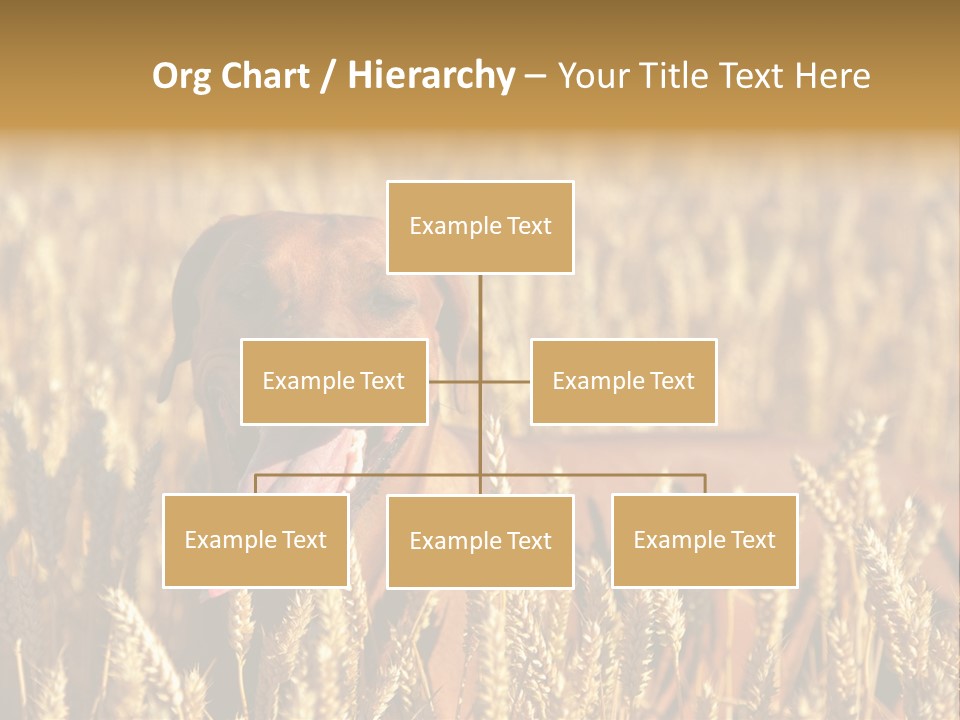 Portrait Dog Agricultural PowerPoint Template