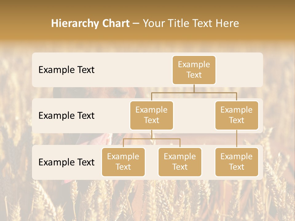 Portrait Dog Agricultural PowerPoint Template