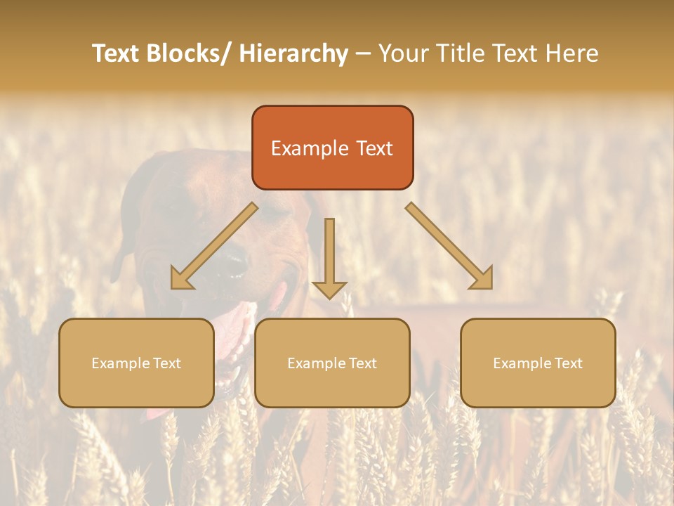 Portrait Dog Agricultural PowerPoint Template