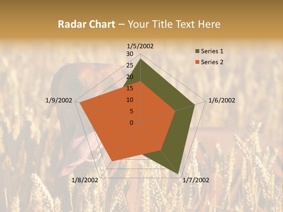 Portrait Dog Agricultural PowerPoint Template