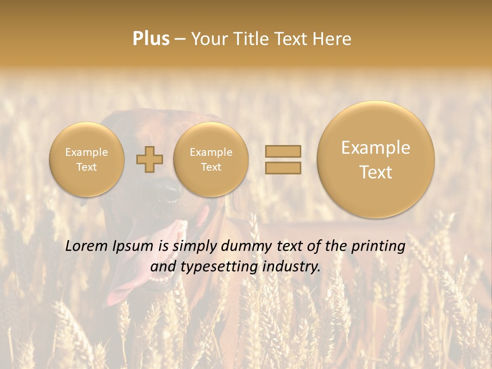 Portrait Dog Agricultural PowerPoint Template
